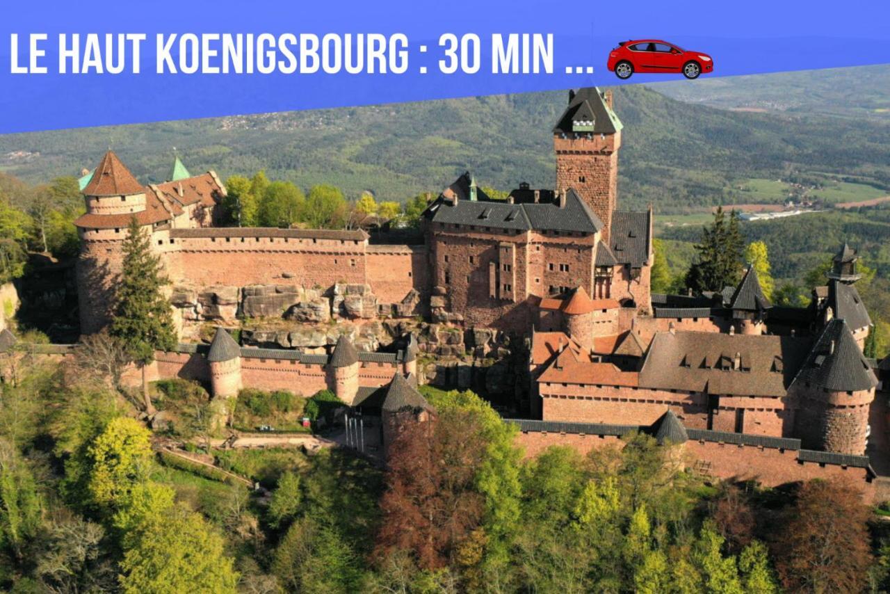 Le Red St Leon : Lit Queen Size * Wifi * Ideal Couple Кольмар Экстерьер фото