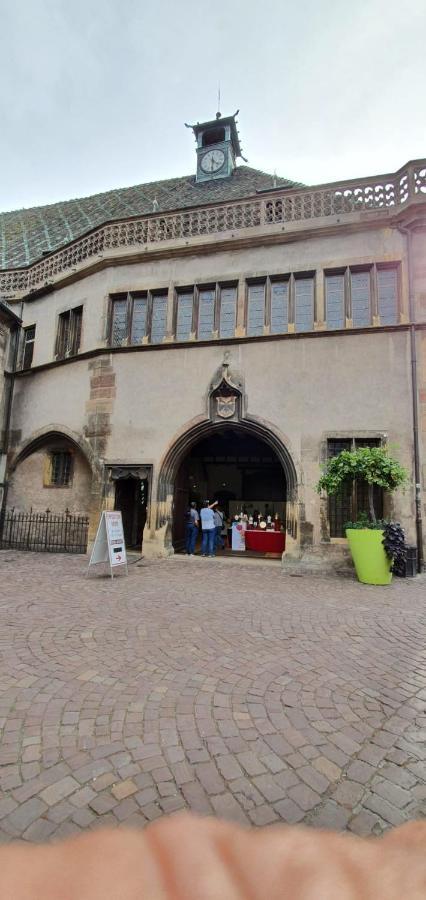 Le Red St Leon : Lit Queen Size * Wifi * Ideal Couple Кольмар Экстерьер фото
